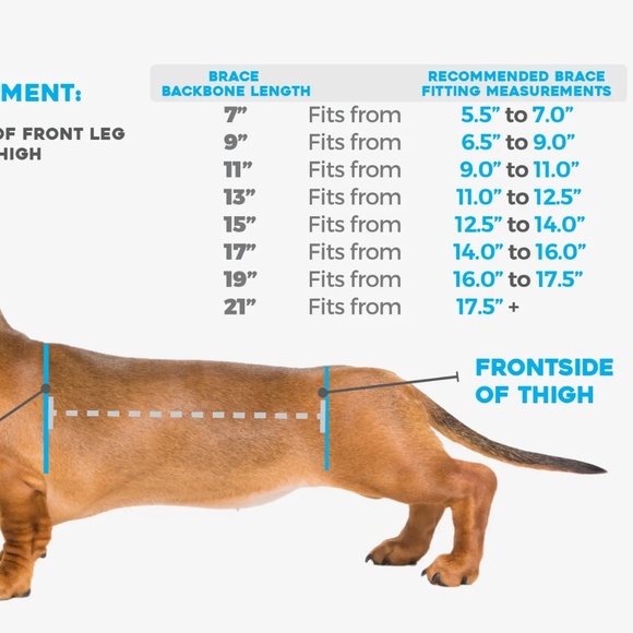 WiggleLess Dog Back Brace Worn Once by Dog Retail 229 Size 12 - Picture 2 of 7